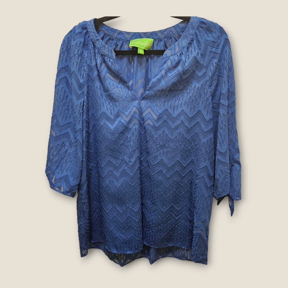 Pappagallo Blue Chevron Metallic Sheer 3/4 Sleeve Blouse Top Size S‎